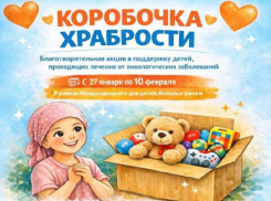 Игрушки и канцелярию собирают онкобольным детям в Сочи