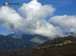 Обвиняемый в хищении земель нацпарка Сочи получил условный срок