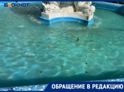 Бутылки и мусор плавают в живописном фонтане Сочи