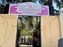 Известный парк Сочи «Южные культуры» сегодня устраивает праздник