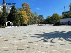 Уже год администрация Сочи «кормит обещаниями» об аттракционах в Луна-Парке