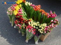 78 тонн цветов к 8 марта отправили через аэропорт Сочи 