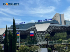 34 тысячи маломобильных пассажиров встретил аэропорт Сочи