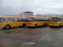 Школьный автопарк Сочи пополнился семью автобусами
