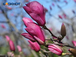 Синоптики рассказали, какая погода будет в Сочи в короткую рабочую неделю