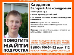 16-летний подросток пропал в Сочи