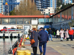 40 раз за неделю: мэр Сочи рассказал, почему так часто воют сирены во время атак БПЛА