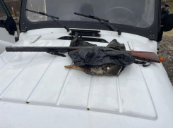 Браконьеров задержали в Сочинском нацпарке