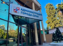 Мэр Прошунин уволил руководителя МБУ «Сочисвет» из-за долгого решения проблемы уличного освещения