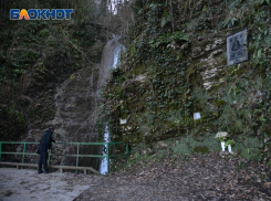 Генпрокуратура насчитала ущерб природе в 3 миллиарда рублей из-за нарушений в Сочинском нацпарке