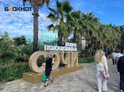 Четыре города обходят Сочи в конкурсе «Культурная столица России»