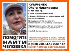 66-летнюю женщину ищут в Сочи
