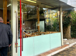 Пекарню в центре Сочи, в которой жили крысы, закрыли