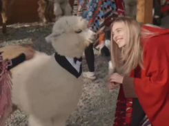 Коллективы «Дома капибар» и «Альпака парка» из Сочи приняли участие во флешмобе Анны Немченко под хит «Танцпол везде»