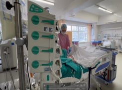 Врачи рассказали о состоянии 9-летнего ребенка, чье лицо разорвали собаки в Сочи