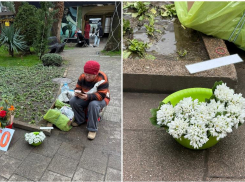 Краснокнижные первоцветы продают в Сочи прямо под носом у администрации