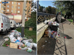 Мусорные свалки увеличились на улицах Сочи
