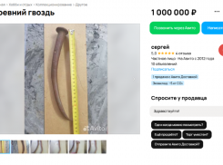 За 1 миллион рублей в Сочи продают два гвоздя, найденные на дне Черного моря