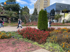 Площадь зеленых насаждений в Сочи увеличат в 12 раз
