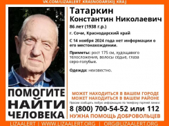 В Сочи без вести пропал 86-летний пенсионер