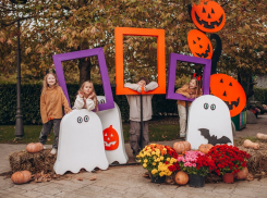 7700 тыкв задействуют в оформлении Сочи Парка ко Дню рождения Бабы Яги