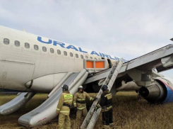 118 миллионов рублей требуют с пилота, посадившего самолет из Сочи в пшеничном поле