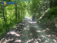  В 2024 год Сочинский национальный парк посетили  более 2,7 миллионов человек