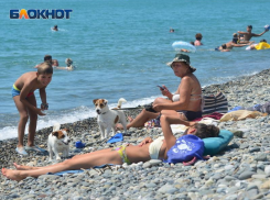 Стало известно, когда в Сочи придет жара