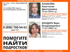Нуждающиеся в медицинской помощи девочки пропали в Сочи