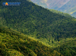 Туристов возмутили двойные поборы за посещение Бзерпинского карниза в Сочи
