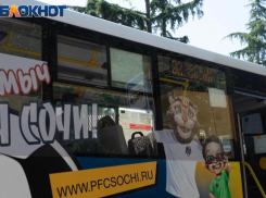 Автобусы в Сочи будут ходить круглосуточно