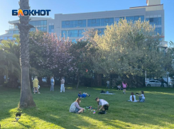 Суд отобрал 1,5 га сквера в Сочи у компании «Русичи», которая 27 лет владела землей