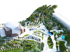 Самый большой субтропический парк в России появится в Сириусе