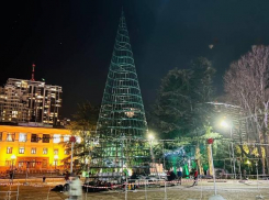 «Даже мая не дождались»: в Сочи разобрали главную новогоднюю елку
