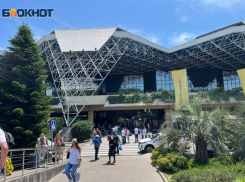 Вылет 22 рейсов задерживается из аэропорта Сочи 