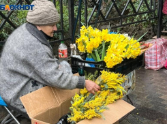 Более 152 тонн мимозы ввезли из Абхазии через таможенный пункт Сочи