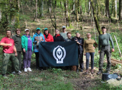 В Сочинском нацпарке высадили 1000 самшитов 