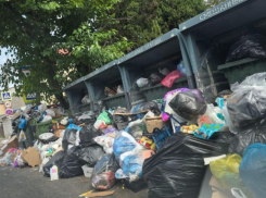 Мусорный коллапс происходит в Сочи очередное лето