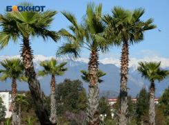 Два дня в Сочи будет слышна стрельба 