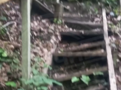 Туристов возмутило состояние территории в Сочинском национальном парке