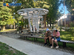 Администрация Сочи ищет подрядчика, который высадит деревья и кусты за 100 миллионов рублей