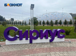 Учёные Сириуса создадут мышей с нарушениями развития головного мозга