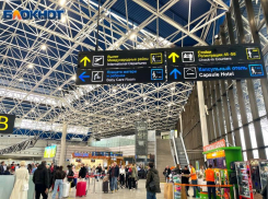 Экс-чиновник получил 6 лет за «крышевание» ИП в аэропорту Сочи