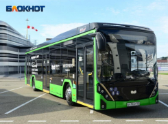Два новых автобусных маршрута запустят в Сочи