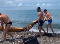 Туристы и местные жители Сочи самостоятельно расчищают пляж от мусора