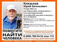73-летний пенсионер, нуждающийся в медицинской помощи, пропал в лесу Сочи