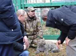 Центру восстановления леопардов в Сочи дали имя первого руководителя