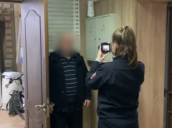 Полиция Сочи наказала таксиста, перевозившего на крыше енотов