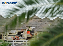 От 10 до 125 тысяч рублей: сколько стоит отдых в Сочи