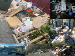 На 15 миллионов рублей увеличат бюджет Сочи для ликвидации стихийных свалок